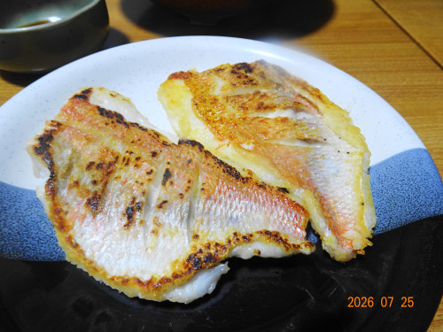 DSC05551.JPG