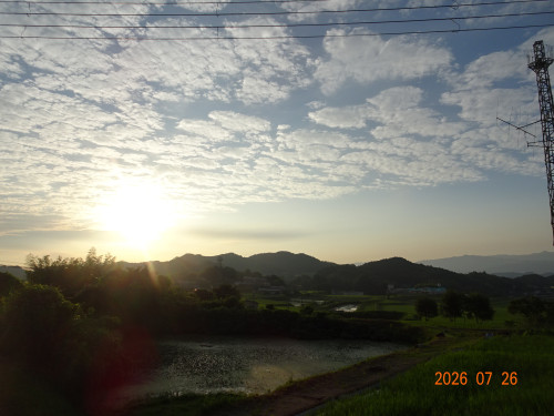 DSC05552.JPG
