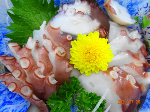 DSC05558.JPG
