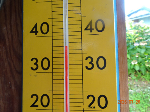 DSC05562.JPG