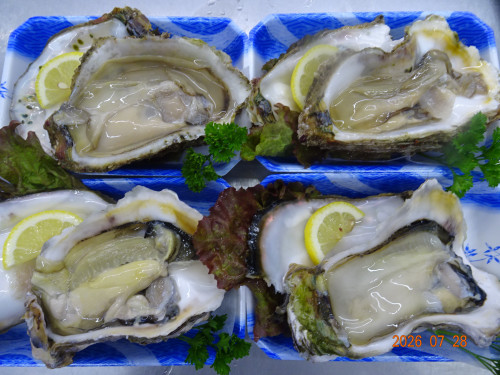 DSC05614.JPG