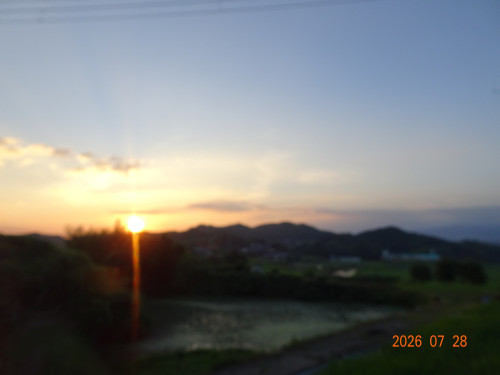 DSC05619.JPG