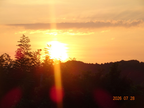 DSC05620.JPG
