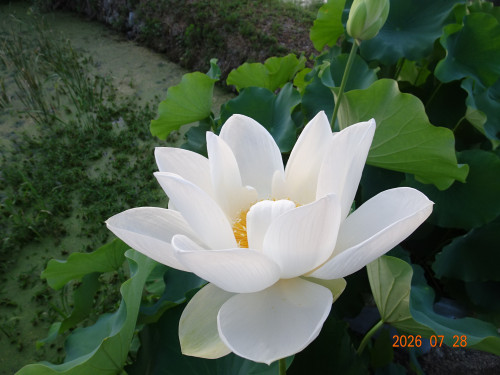 DSC05621.JPG