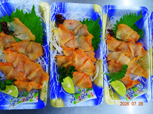 DSC05627.JPG