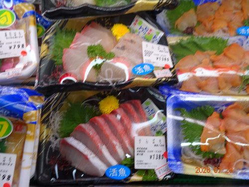 DSC05644.JPG