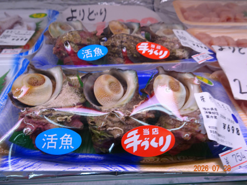 DSC05645.JPG