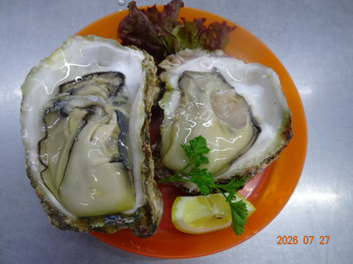 DSC05607.JPG