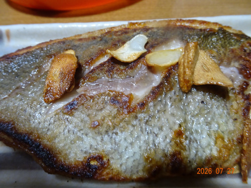 DSC05610.JPG