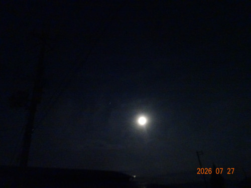 DSC05613.JPG