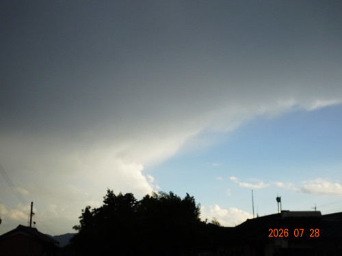 DSC05650.JPG