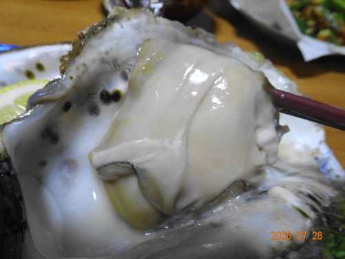 DSC05653.JPG