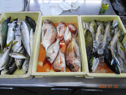 DSC05680.JPG