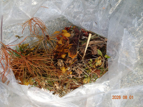 DSC05725.JPG