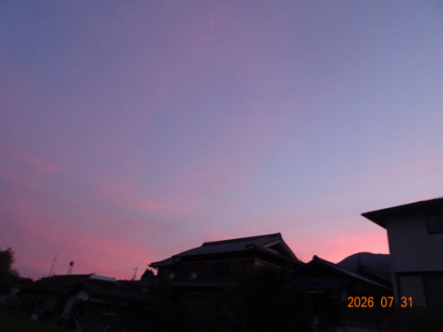 DSC05718.JPG