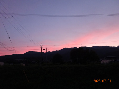 DSC05719.JPG