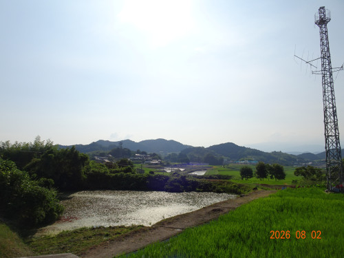 DSC05777.JPG