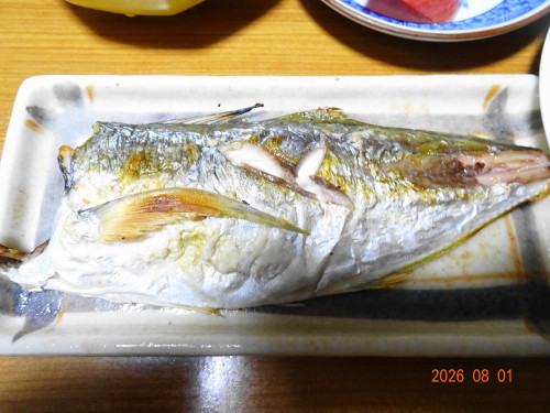 DSC05757.JPG