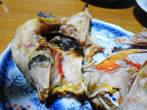 DSC05758.JPG