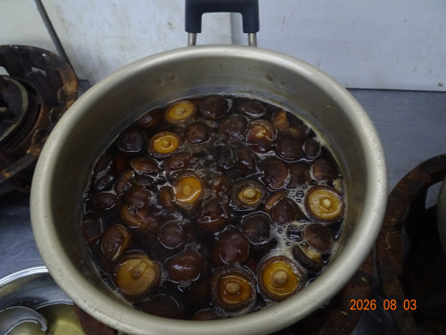 DSC05798.JPG
