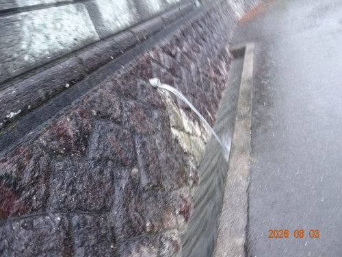 DSC05818.JPG