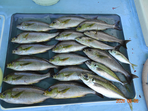 DSC05856.JPG
