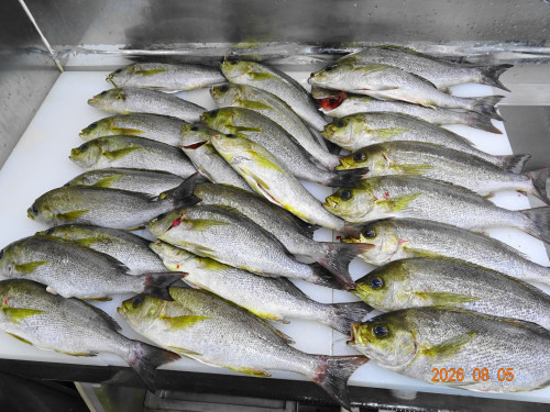 DSC05864.JPG