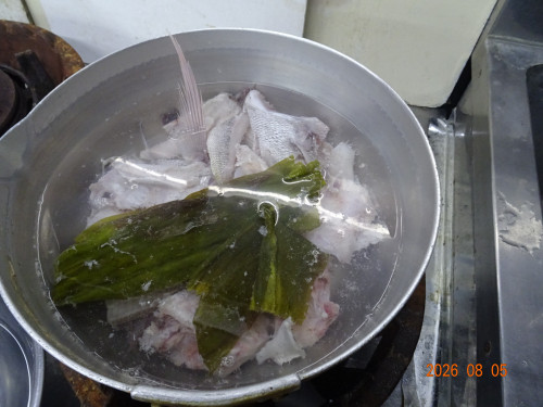 DSC05867.JPG