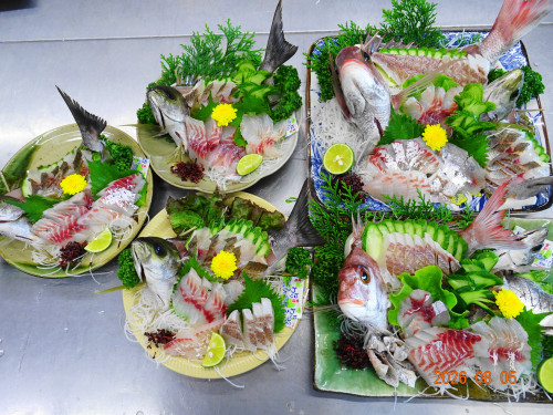 DSC05870.JPG