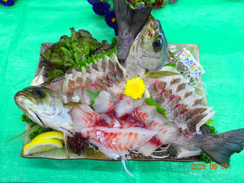 DSC05872.JPG