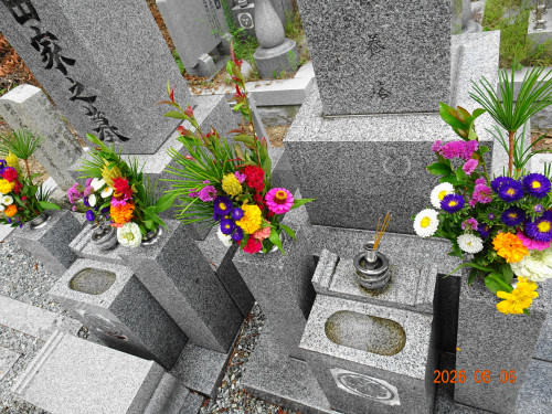 DSC05882.JPG