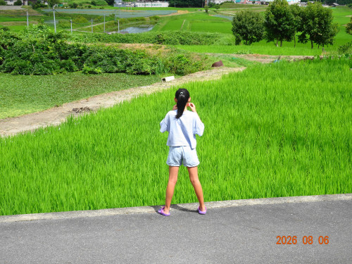 DSC05891.JPG