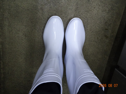 DSC05894.JPG
