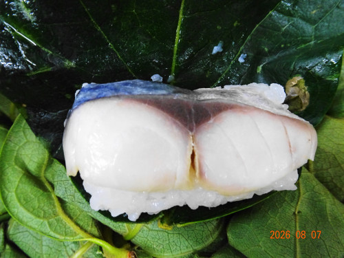 DSC05933.JPG