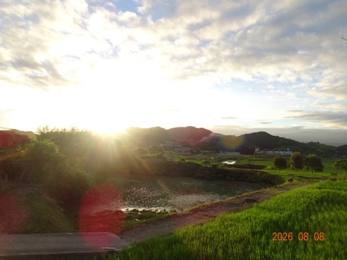 DSC05946.JPG