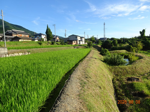 DSC05948.JPG