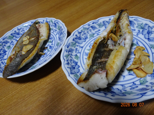 DSC05940.JPG