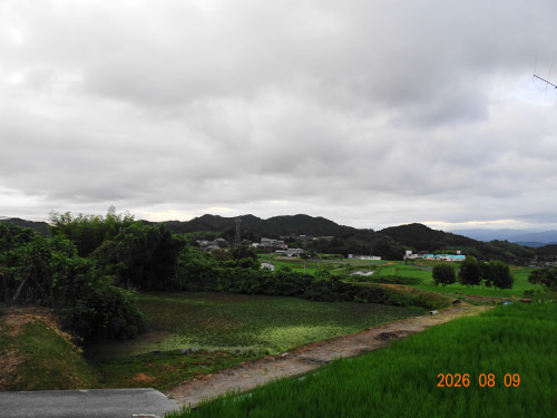 DSC05961.JPG