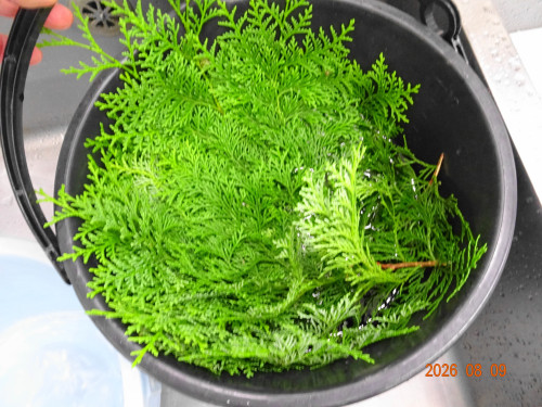 DSC05963.JPG