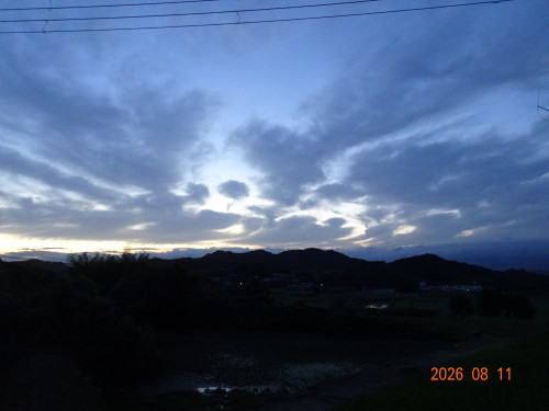 DSC06003.JPG