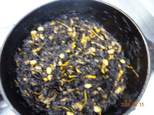 DSC06022.JPG