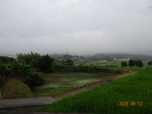 DSC06045.JPG