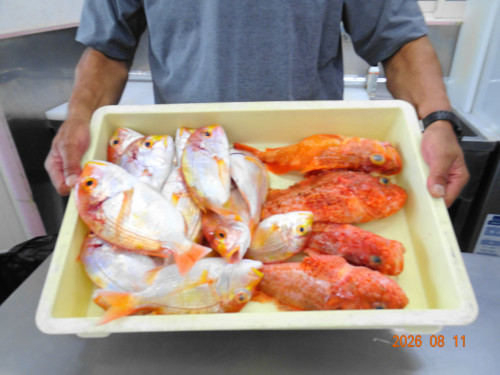 DSC06034.JPG