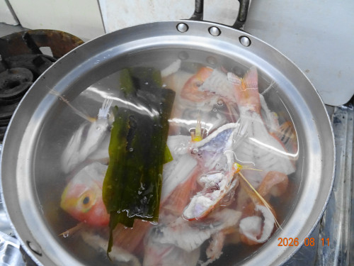 DSC06037.JPG