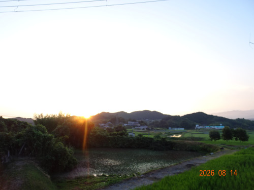 DSC06087.JPG