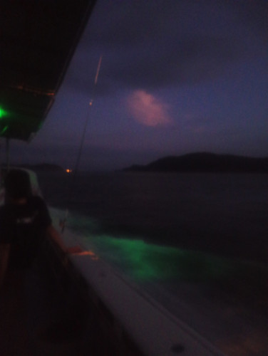 IMG_20260815_044456526_MFNR.jpg