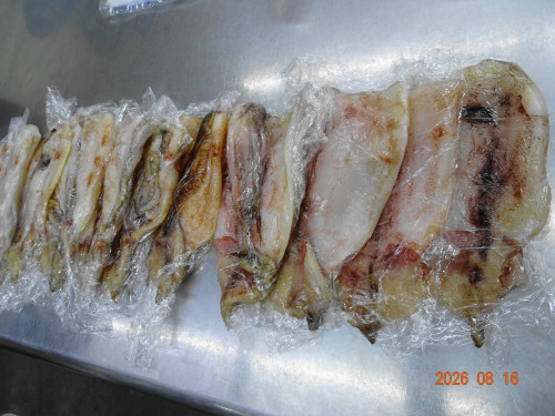 DSC06118.JPG