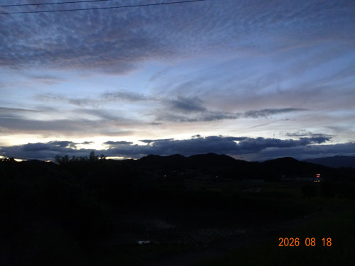 DSC06162.JPG