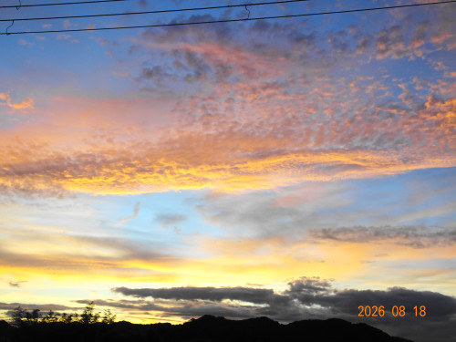 DSC06164.JPG