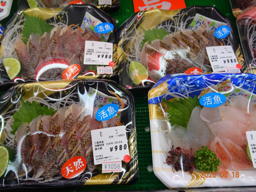 DSC06181.JPG